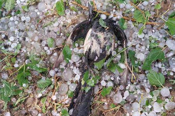 免費看動漫的網(wǎng)站入口_因地制宜發(fā)展新質(zhì)生產(chǎn)力