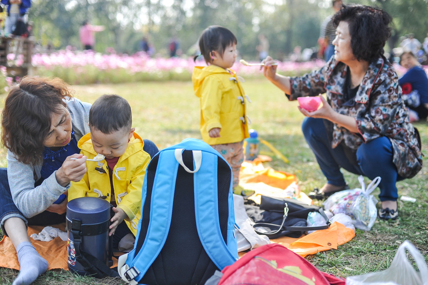 2025刷q幣軟件_【500集新課】AI創(chuàng)作四部曲