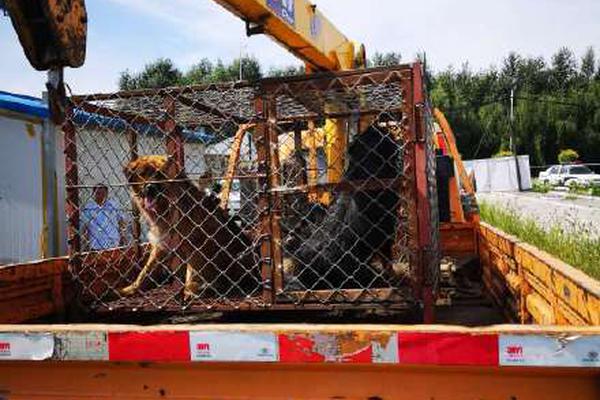 外網(wǎng)使用內(nèi)網(wǎng)應(yīng)用_術(shù)士三系登頂，魔獸時光服首周MC輸出排行出爐！盜賊、狂暴戰(zhàn)加強(qiáng)