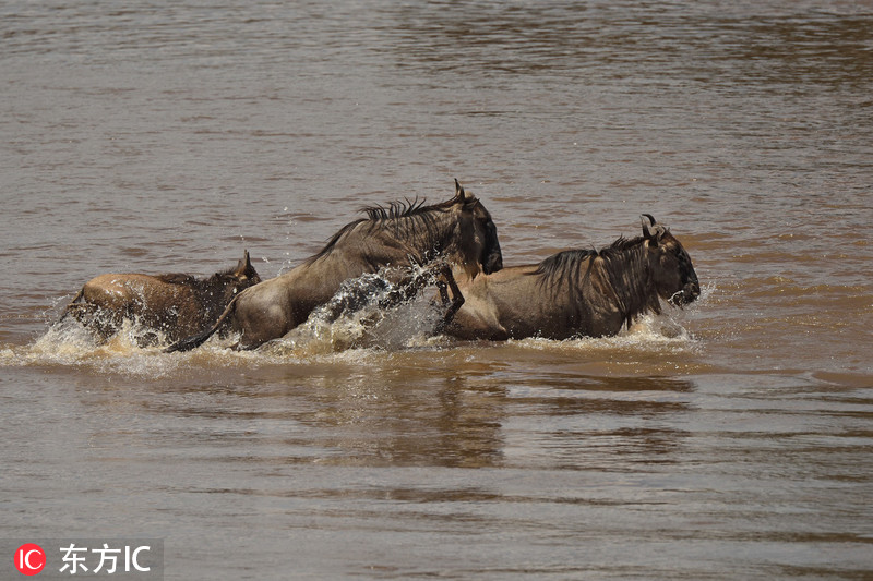 24小時(shí)無人便利店加盟騙局親身經(jīng)歷_網(wǎng)易旗下專業(yè)財(cái)經(jīng)智庫