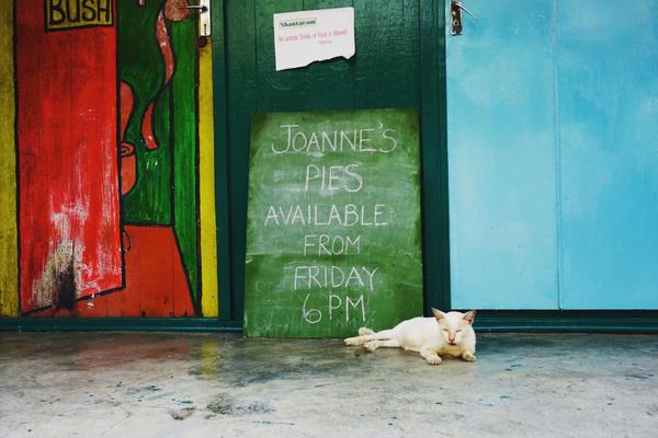 神舟二十一號(hào)航天員乘組圓滿完成第一次出艙活動(dòng)