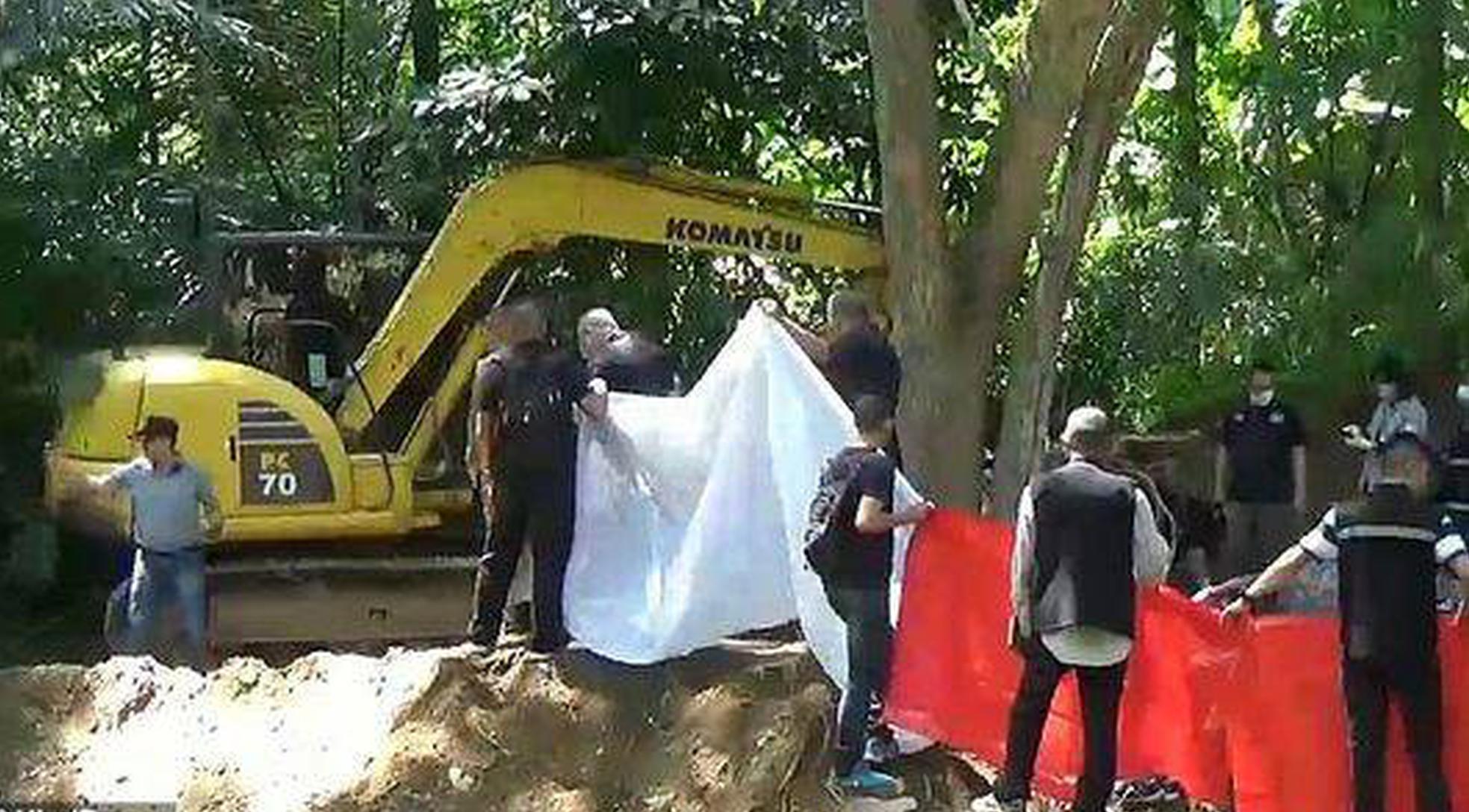 明小子官網(wǎng)_美批準向中國出售英偉達H200人工智能芯片，外交部回應