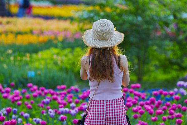 3m灰色鋁單板_中央經(jīng)濟(jì)工作會(huì)議向世界遞出“機(jī)遇清單”