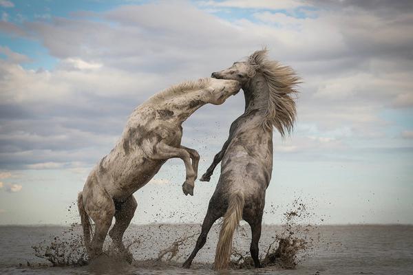 443端口被占用了怎么辦_陪看不見(jiàn)的女孩跑下去