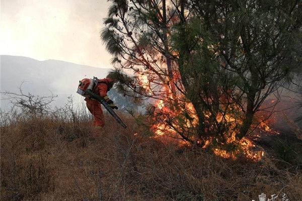 accessbuilder漏洞利用_1.5T插混申報(bào)，技術(shù)勝過(guò)國(guó)產(chǎn)，史上最便宜帕薩特要誕生了？