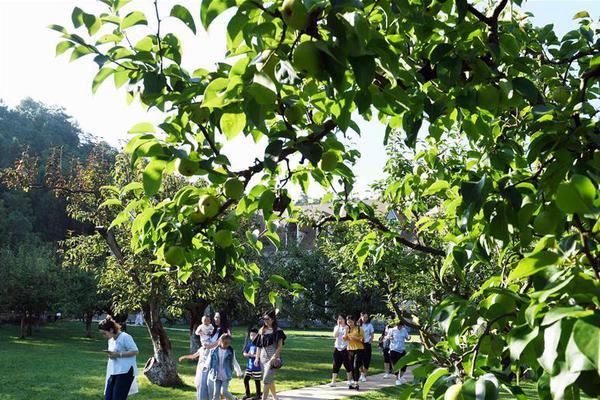 網(wǎng)絡(luò)詐騙罪不能退賠能通過(guò)幫信退嗎為什么_冷暖大逆轉(zhuǎn)！寒潮進(jìn)入收尾階段