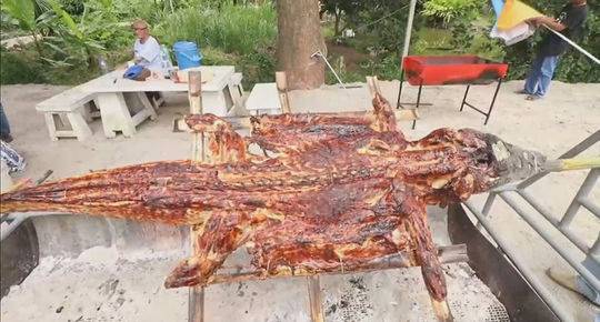 谷歌seo是指什么意思_男模走秀時(shí)突然倒地身亡