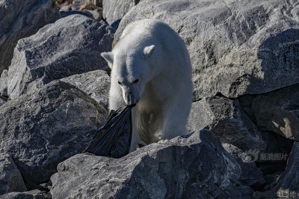 ubuntu一鍵安裝docker_空客獲5000萬歐元合同，將集成AI至法國武器與信息系統(tǒng)