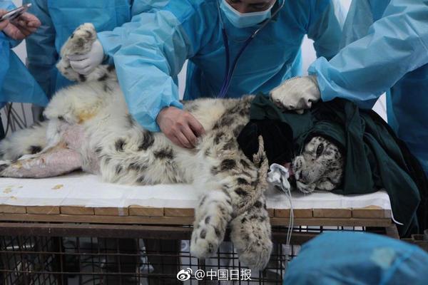 微信提示版本過低怎么強(qiáng)制登錄_李昀銳戚薇袁婭維為搜狐時尚盛典送祝福