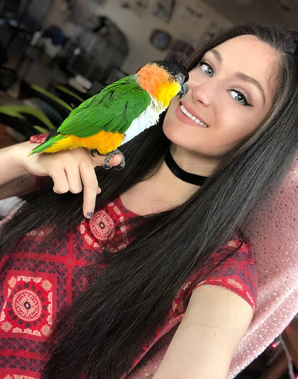 哪個(gè)網(wǎng)站屬于b2c模式的網(wǎng)站_受賄數(shù)額特別巨大，齊扎拉被公訴