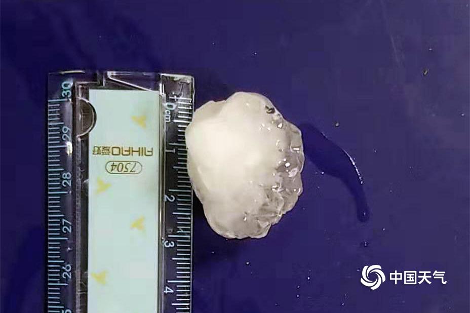 tg動畫性感的錯誤_小妹被土匪害死，他怒火中燒，帶部隊(duì)回老家剿匪