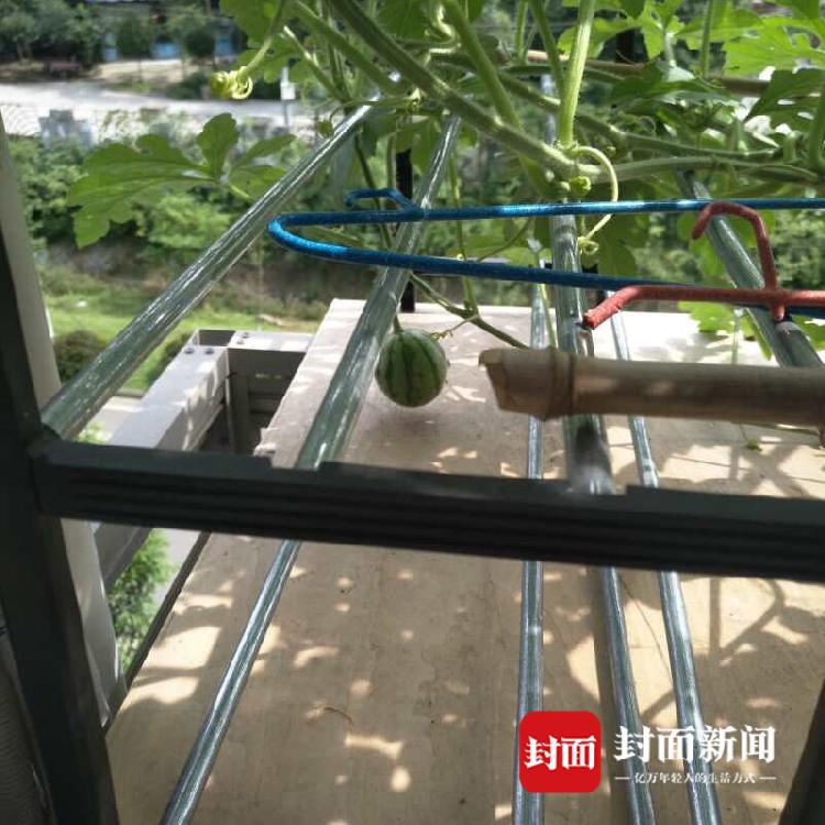 反向溢出_猛龍主帥：珀?duì)柼貭栵@然還沒找到比賽節(jié)奏 狀態(tài)遠(yuǎn)未恢復(fù)到最佳