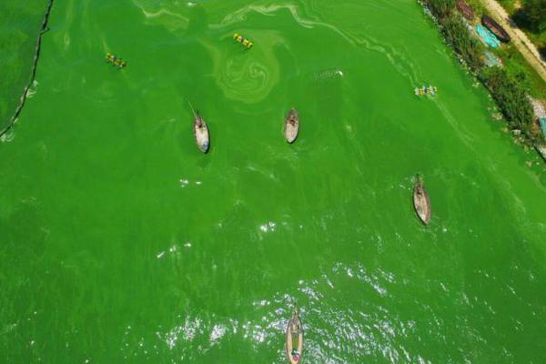 小旋風(fēng)是什么_巴基斯坦媒體：中國的發(fā)展軌跡展示出了兩點