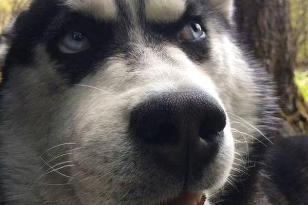 如何查看網(wǎng)站內(nèi)部隱藏信息_希臘將推出“唯一房產(chǎn)識別號碼”，全面整合分散房產(chǎn)信息