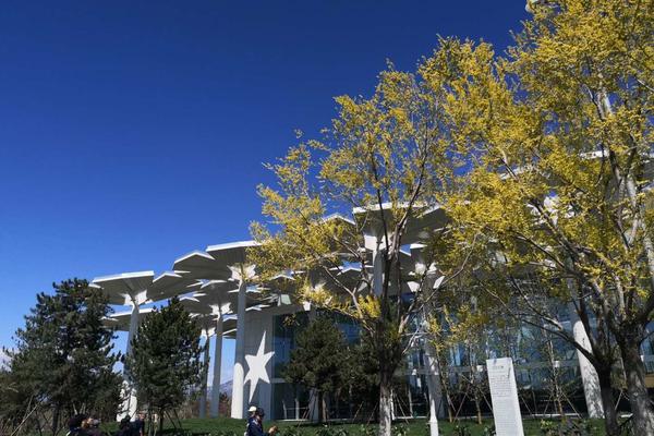 wordpress目錄列表_卡納瓦羅：烏茲別克將從世界杯學(xué)習(xí)；未來(lái)想回意大利證明自己