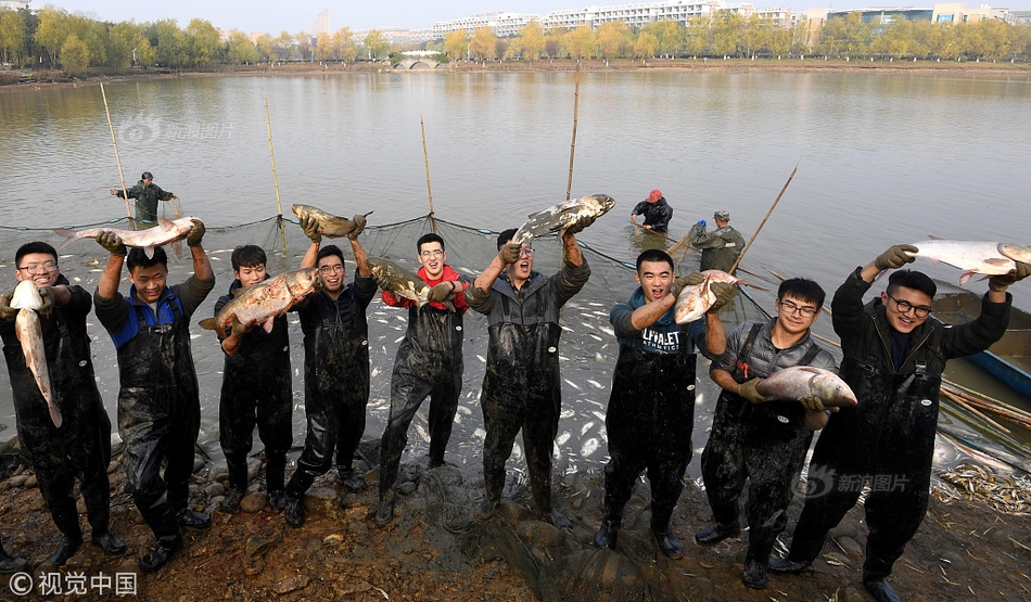 如何進(jìn)入黑客系統(tǒng)_上映第4天，《得閑謹(jǐn)制》直逼冠軍，尹正和沈騰的喜劇大片殺來了
