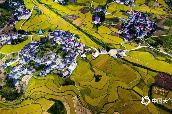 如何判斷行業(yè)滲透率大小_反季節(jié)蔬菜吃了等于白吃?謠言