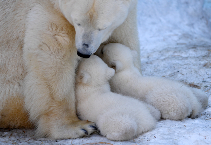 如何修復(fù)游戲漏洞_多所高校停招外語專業(yè)并非外語學(xué)習(xí)“終場哨”