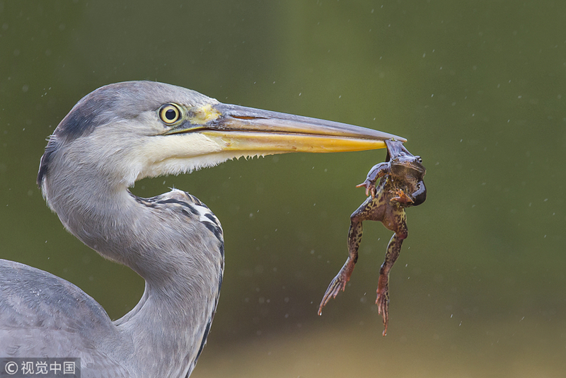 如何修復(fù)游戲漏洞_多所高校停招外語專業(yè)并非外語學(xué)習(xí)“終場哨”