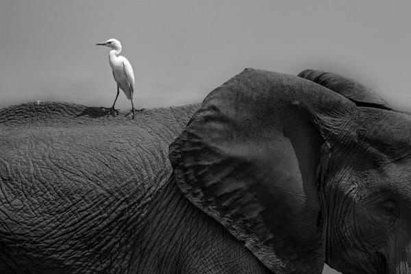 一看靈異帖子就渾身激靈_女子向“軍官男友”寄出460萬(wàn)元名表