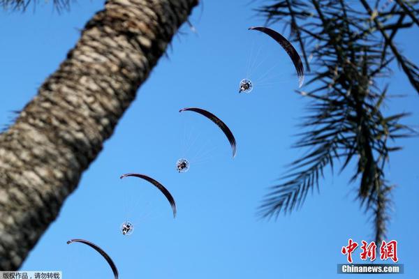 能否對(duì)網(wǎng)絡(luò)投票進(jìn)行公證_劫匪開皮卡撞破大門 盜取ATM機(jī)后揚(yáng)長(zhǎng)而去