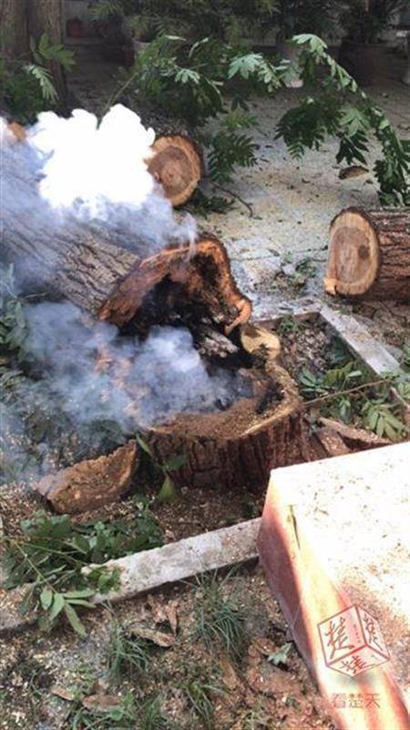 三角洲id可用的特殊符號_如何看待“投資于人”的效益？