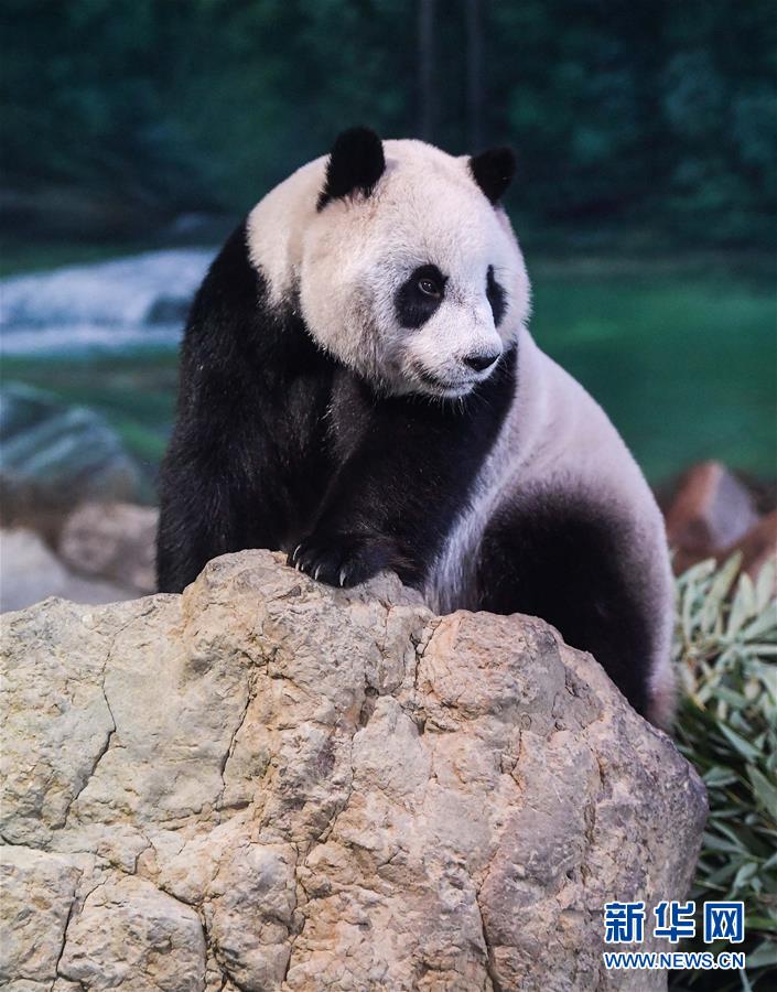 交通安全綜合服務(wù)管理平臺_香期·五月初一 | 于諸福田 歡喜敬養(yǎng)