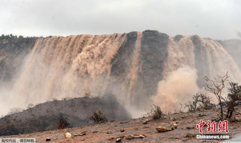搬運國外視頻到b站能賺錢嗎_尼古拉-佩佩：梅西和C羅的不同？梅西像孫悟空，C羅像貝吉塔