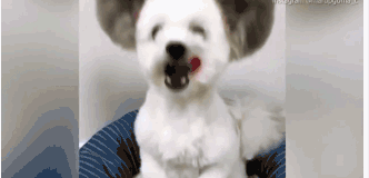 地平線蘇箐：3年后 準L4級系統大概率已經量產