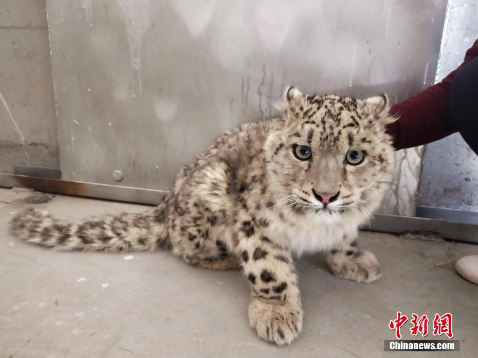 金融統(tǒng)計(jì)壓力測試_日方稱中方?jīng)]有提前通報(bào)訓(xùn)練?？沼颍饨徊炕貞?yīng)