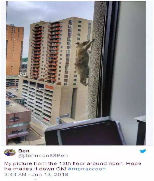 nessus介紹_王自如：iPhone 17一點(diǎn)不蘋果 不是設(shè)計(jì)師設(shè)計(jì)出來的