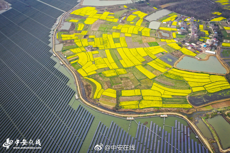 京東官方網(wǎng)站首頁網(wǎng)頁版_日侵臺死傷兩倍于甲午戰(zhàn)爭