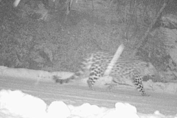 競價推廣公司_格力公布2018財報，董明珠贏得與雷軍的