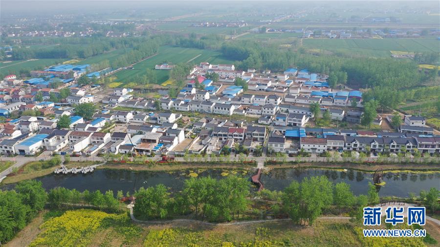 競價(jià)推廣賬戶競價(jià)托管公司_日軍偷襲珍珠港84年后 日美在紀(jì)念儀式大談