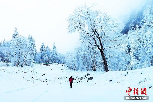 蜘蛛開(kāi)店續(xù)寫(xiě)故事二年級(jí)100字改寫(xiě)_2025-2026賽季出征儀式圓滿結(jié)束，新賽季，浙江廣廈來(lái)了！ ???