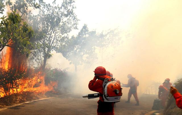 看廣告賺美元網(wǎng)站_榮耀20渲染圖曝光:后置豎排四攝