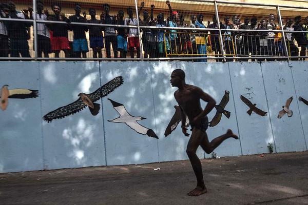 讓 AI 自主發(fā)現(xiàn)“牛頓第二定律”