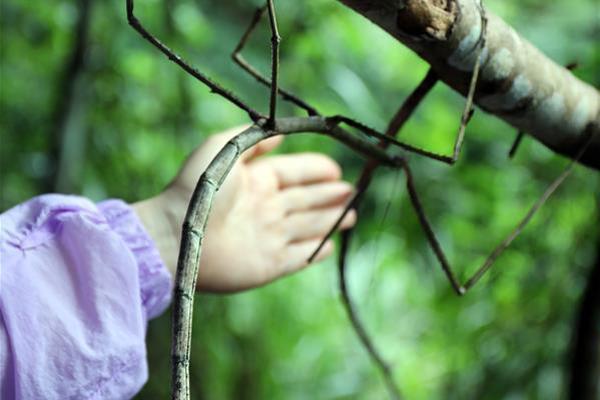 房子，已經(jīng)成了許多人的累贅。