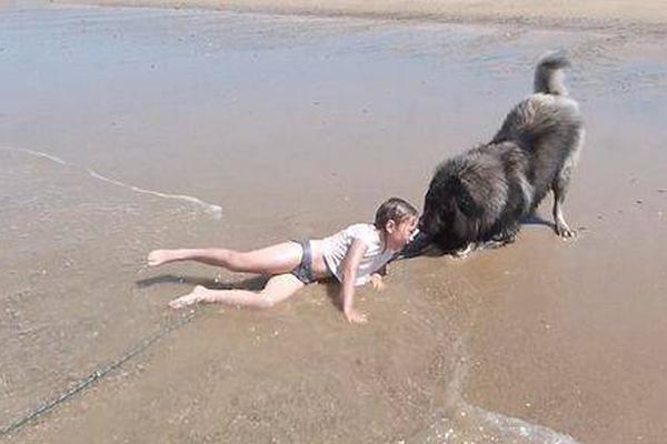 常見購物網(wǎng)站網(wǎng)址_龍湖濟南西城天街商業(yè)綜合體項目引入品牌350余家