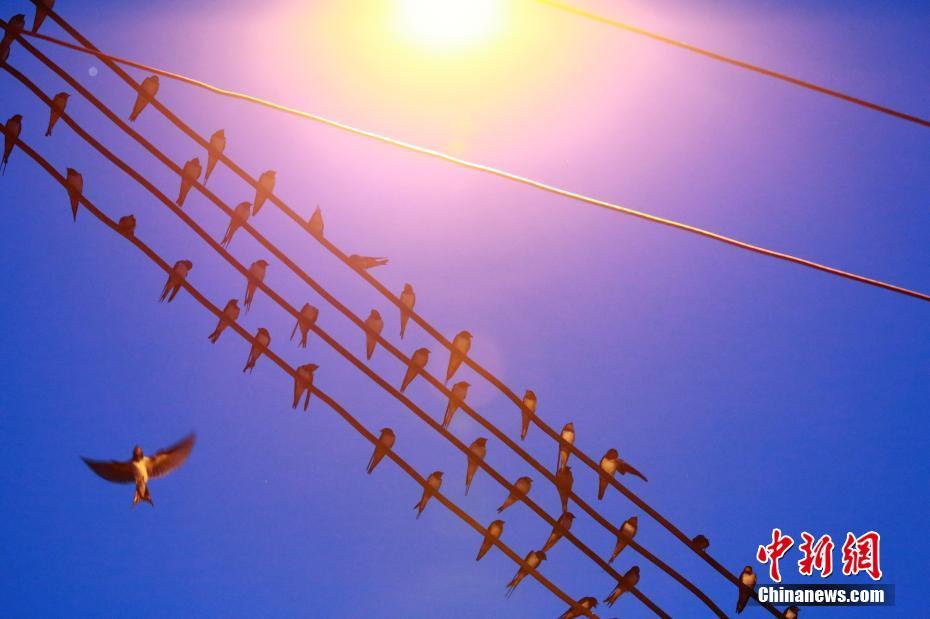 pikachu靶場搭建過程_讓老百姓“有錢花、敢花錢”