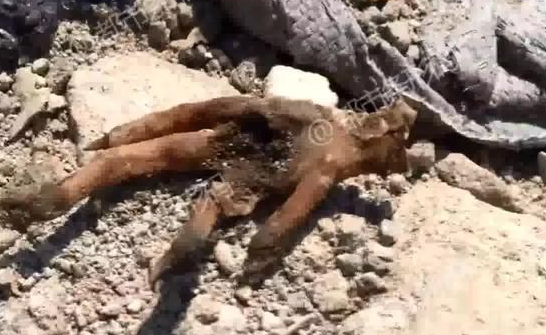 pip下載地址_日本媒體人：高市早苗須公開(kāi)撤回錯(cuò)誤言論并慎重反省