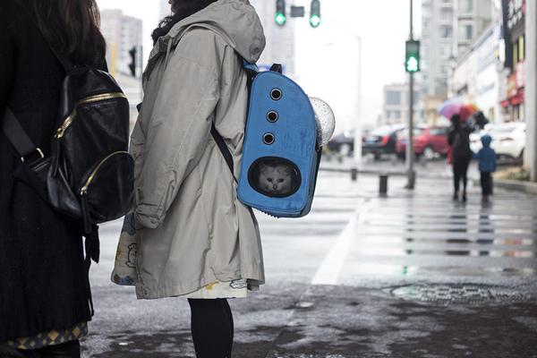 充分認(rèn)識做好網(wǎng)信工作的重要意義_《用武之地》求生特輯 肖央齊溪再現(xiàn)境外生存禁區(qū)