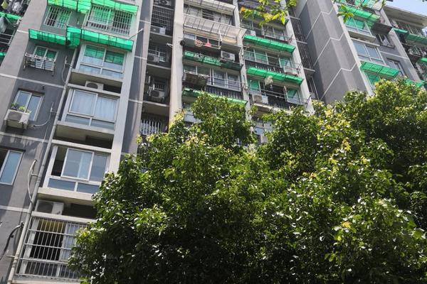 快速輸入數(shù)據(jù)的技巧有會計繼續(xù)教育_朝陽奶西323、324地塊準現(xiàn)房案名公布