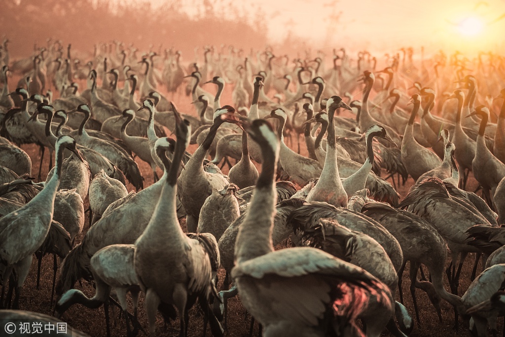 狂飆漏洞百出_繼續(xù)實(shí)施更加積極的財(cái)政政策，明年具體怎么干？
