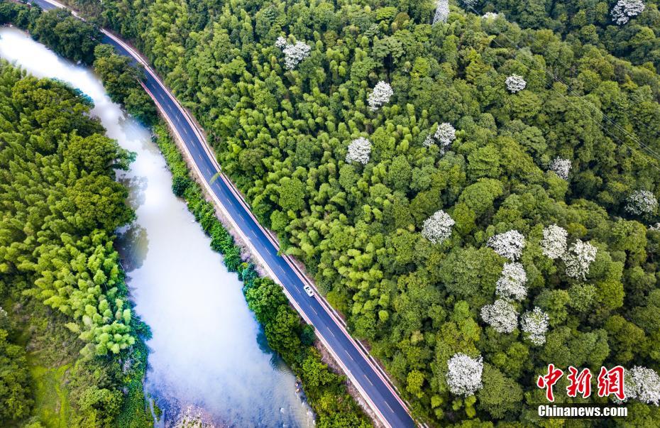 純免費(fèi)的網(wǎng)頁游戲_行業(yè)首個(gè)單芯片城市NOA即將量產(chǎn)上車