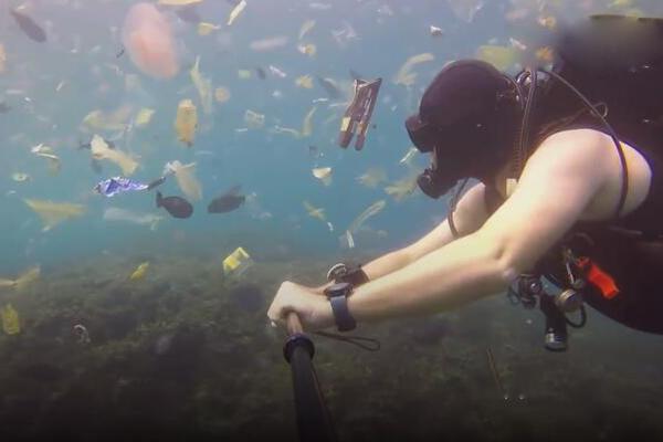 售假舉報(bào)怎么要獎(jiǎng)勵(lì)_雙色球預(yù)測(cè)-老梁中837萬(wàn)累擒超6千萬(wàn)