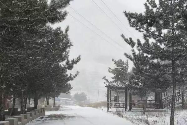 售假舉報(bào)怎么要獎(jiǎng)勵(lì)_雙色球預(yù)測(cè)-老梁中837萬(wàn)累擒超6千萬(wàn)