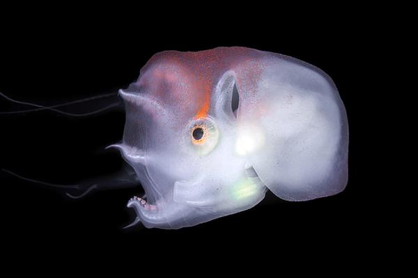 習(xí)近平三次來(lái)到寧夏 對(duì)這件“小事”很掛心