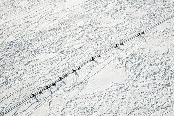帶你去沒用的網(wǎng)站_突發(fā)！美國拘留兩名男子 涉嫌走私英偉達(dá)AI芯片