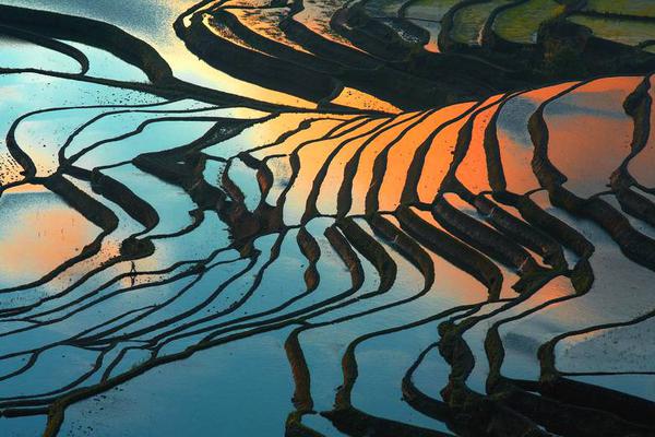 黨員網(wǎng)絡信息安全心得體會最新免費版最新_【浴室香氛】滿室留香，限時特價14.9元！